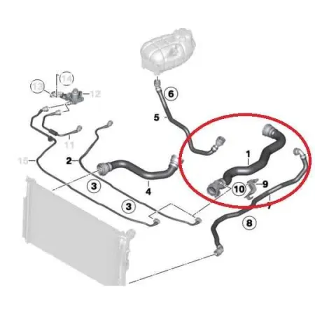 Durit superieure radiateur