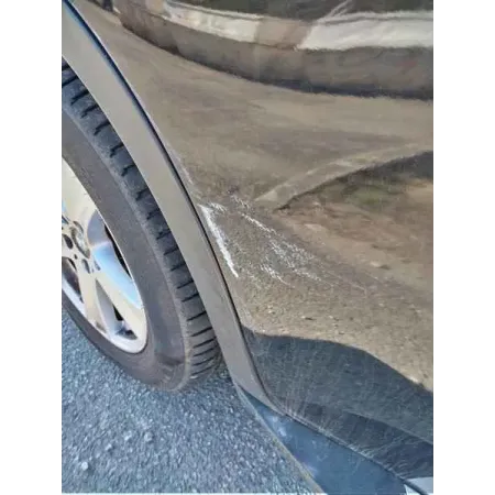 Porte arriere droite bmw x5 e70