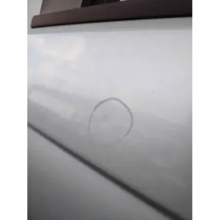 Porte arriere gauche bmw serie 3 e46