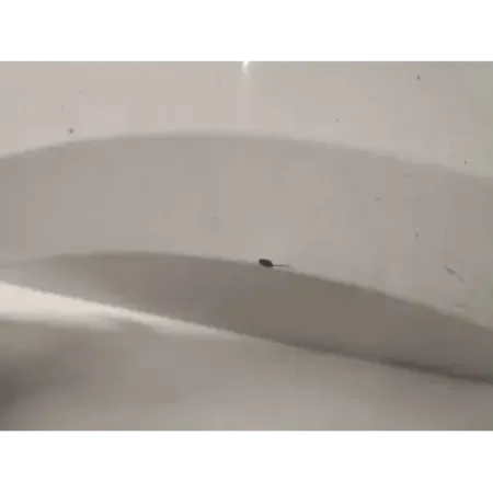 Aile avant gauche seat ibiza iv 6j/6p