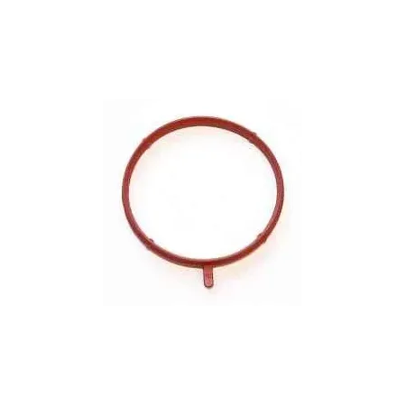 Joint de collecteur admission