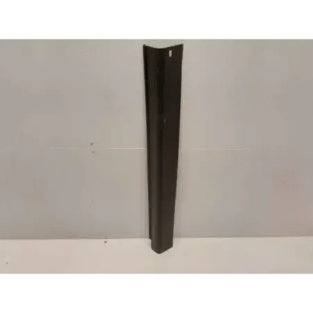 Seuil de porte avant gauche