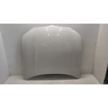 Capot bmw serie 3 g20/g21