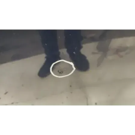 Capot bmw serie 5 f10/f11