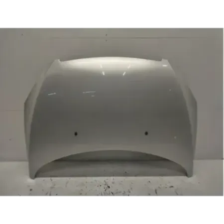 Capot peugeot 307