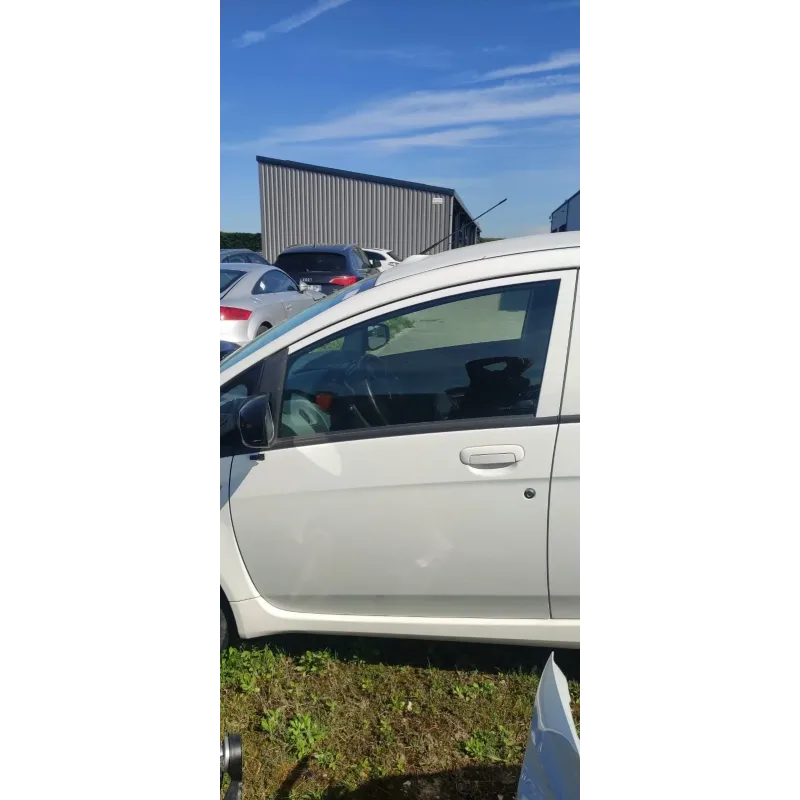 Porte avant gauche peugeot ion
