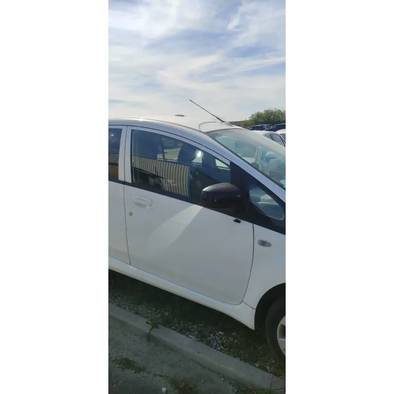 Porte avant droite peugeot ion