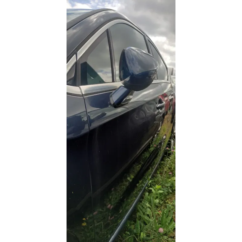 Porte avant gauche citroen ds4