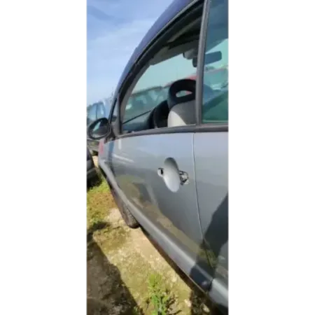 Porte avant gauche citroen c3 pluriel