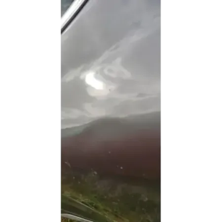 Porte arriere gauche renault clio 4 iv