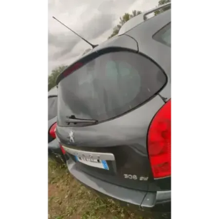 Malle / hayon / coffre peugeot 308