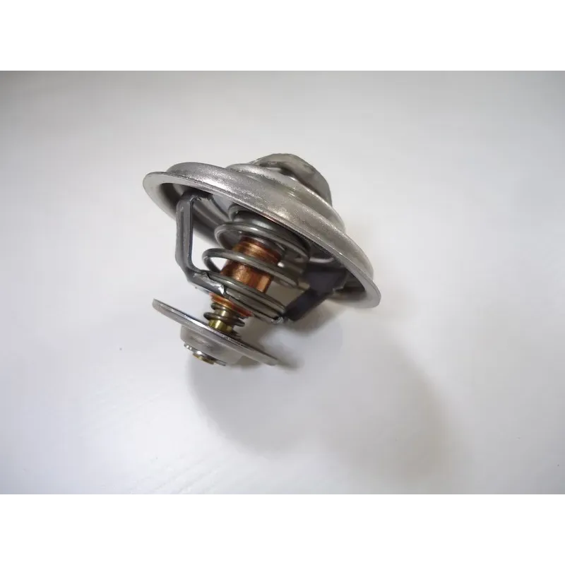 Thermostat E30/E36/E28/E23/E24/E32/E34/Z1 M20/M30/M50 BMW 11531713040