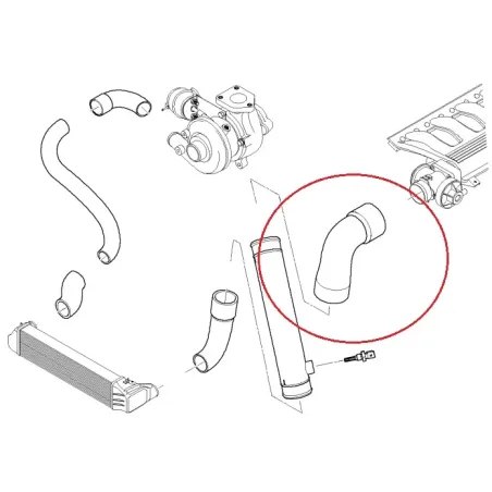 Durite supérieur sortie vanne EGR M57 E46/E39/E38/E53 BMW