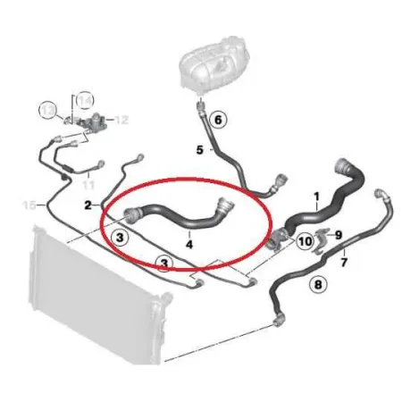 Durit inferieur radiateur
