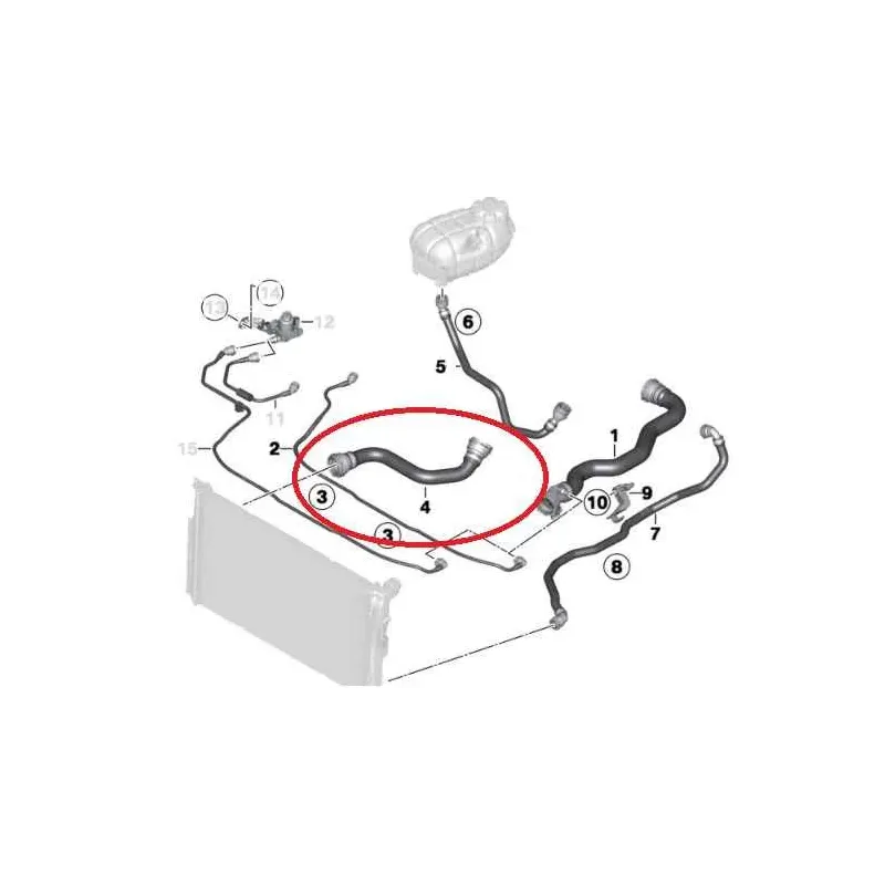 Durit inferieur radiateur