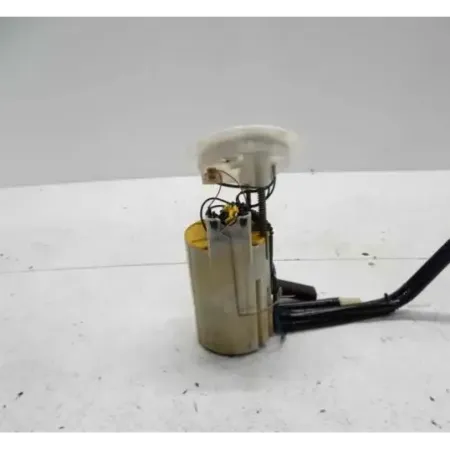 Pompe carburant immergee